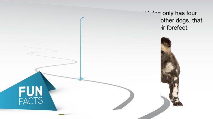 Hollard_Fun_Facts_080218 X 5 temp.sca (1_40.00) - Scala Designer 2019_01_07 10_03_17